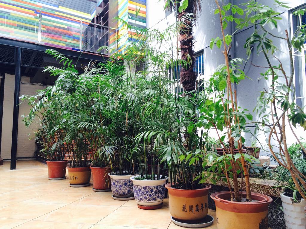 Xi'An Rainbow Youth Hotel 외부 사진